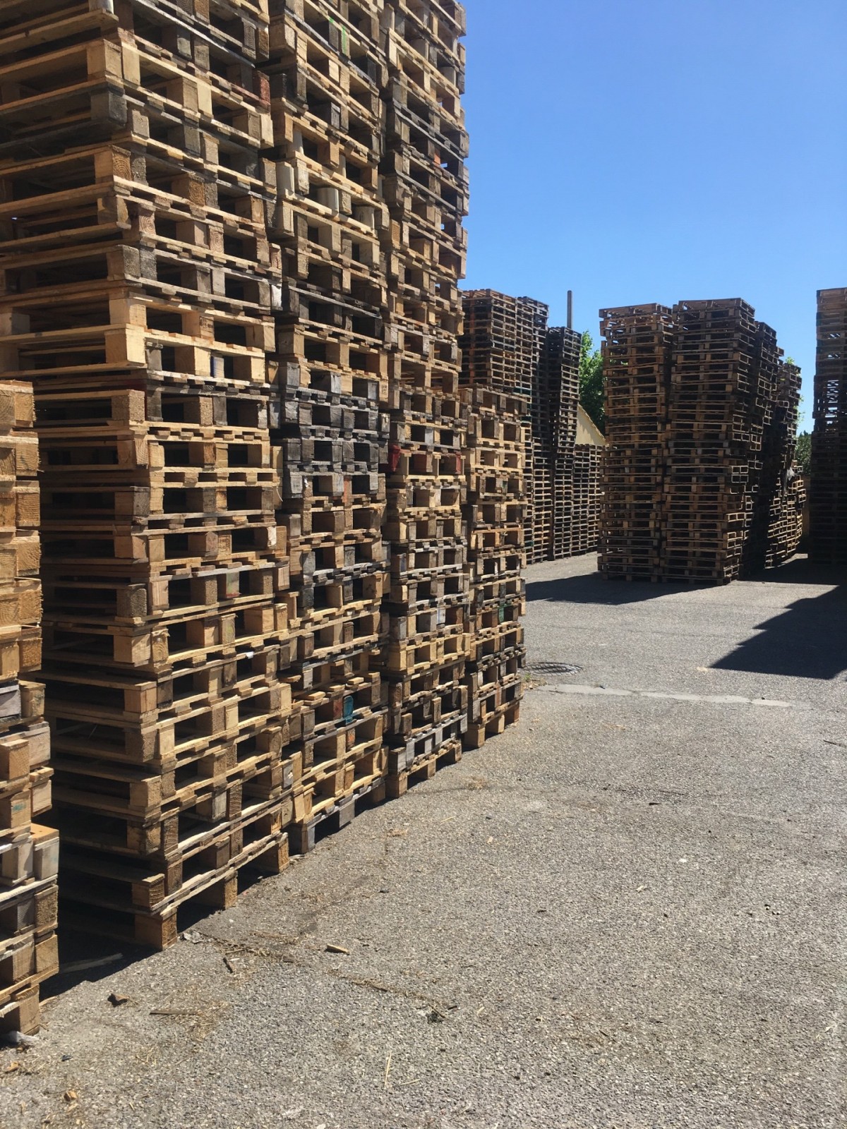 Stock de palettes Europe reconditionnées prêtes pour une expédition rapide dans la zone d'Avignon et Châteaurenard