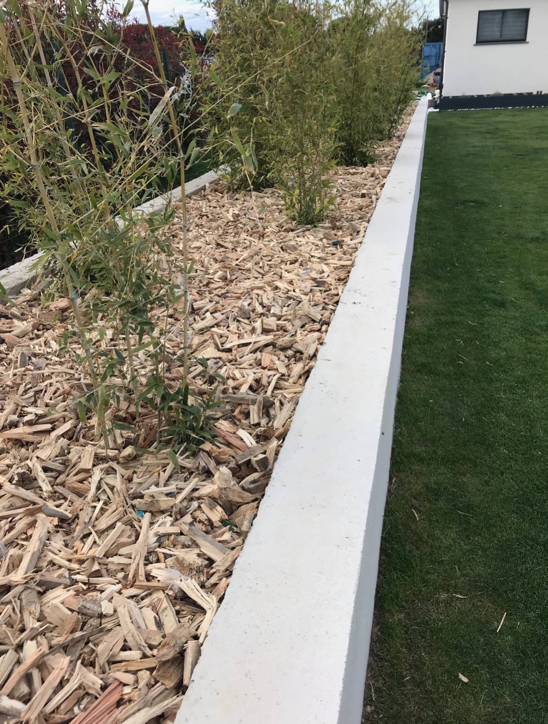 Copeaux de bois broyés