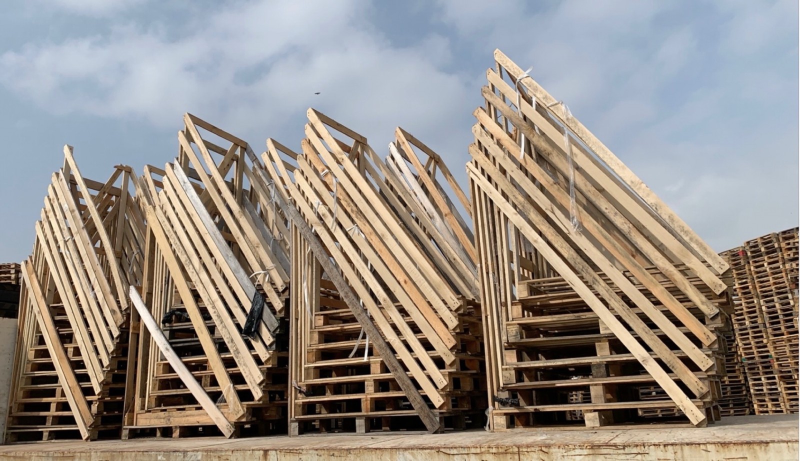 Palette à dosserets