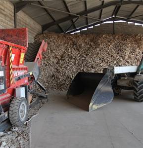 Stock de Bois Broyé